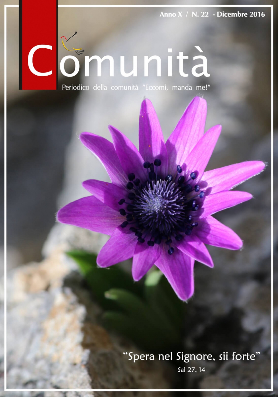 Numero 22 - Dicembre 2016